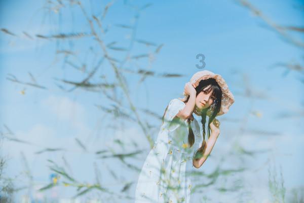 机智问答网页-探寻智慧答案,抖音什么的花开是什么歌助您一键解惑