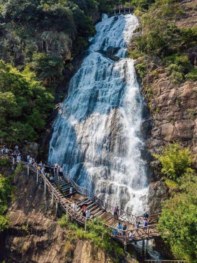 虫虫助手下载